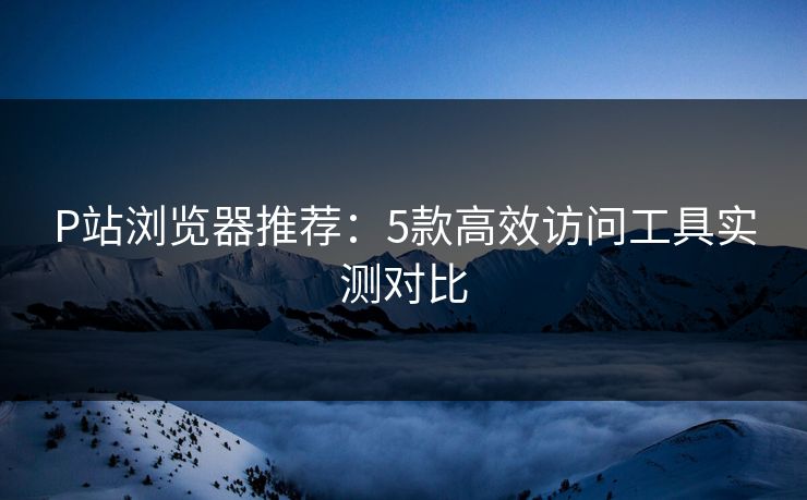 P站浏览器推荐：5款高效访问工具实测对比  第1张